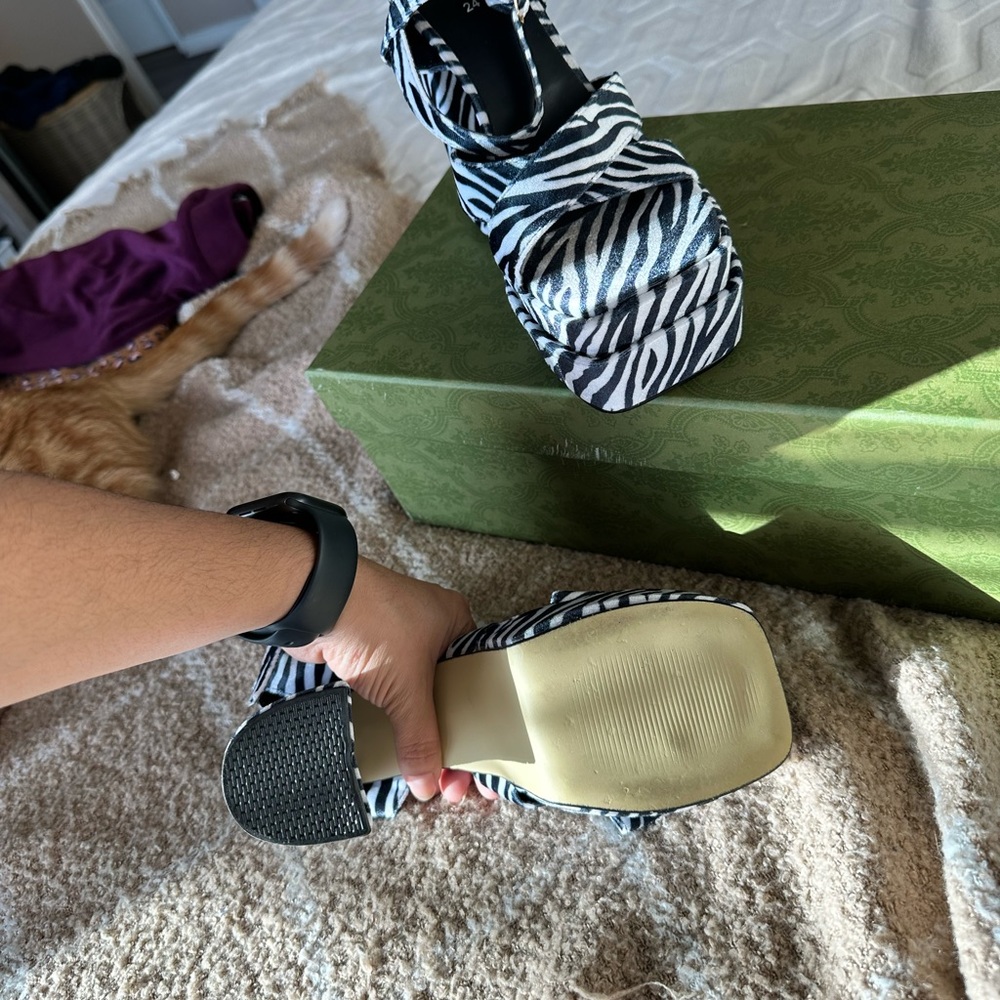 Zebra🦓 - Picture 3 of 3